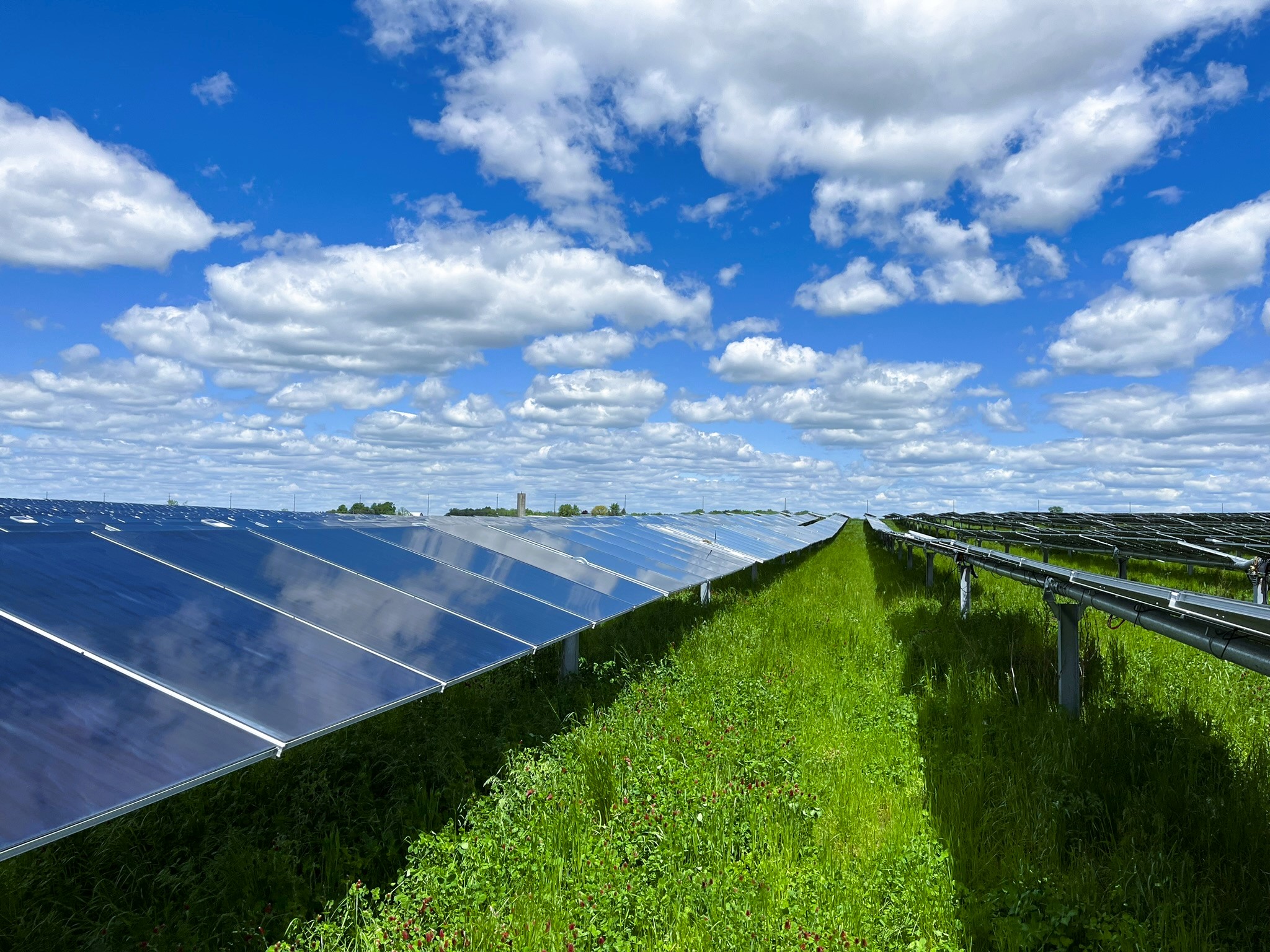 A bright landscape with solar panels stretching into the distance