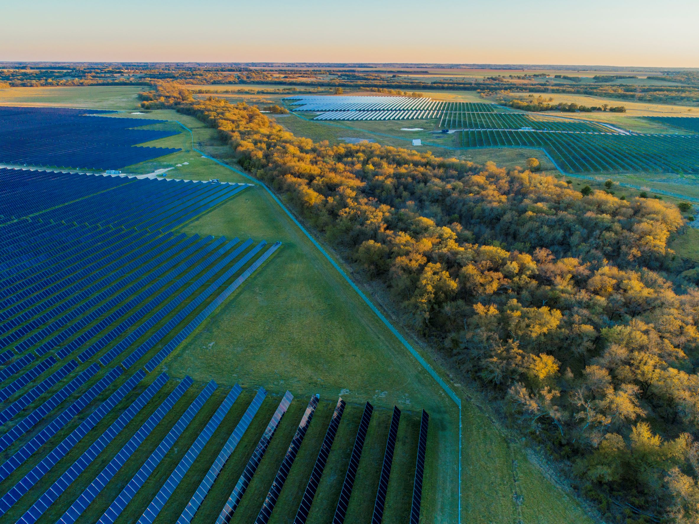 An autumnal scene with a vast array of solar panels