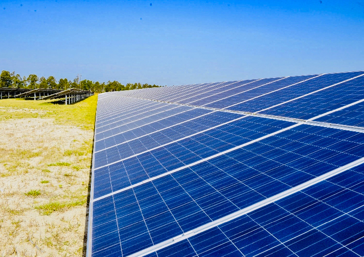 Solar panels stretch into the distance under blue skies