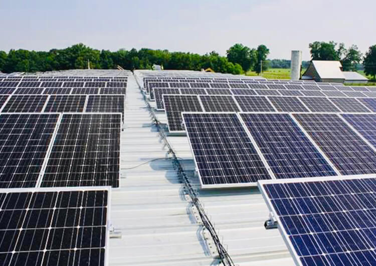 A rooftop of solar panels in front of a farm and trees