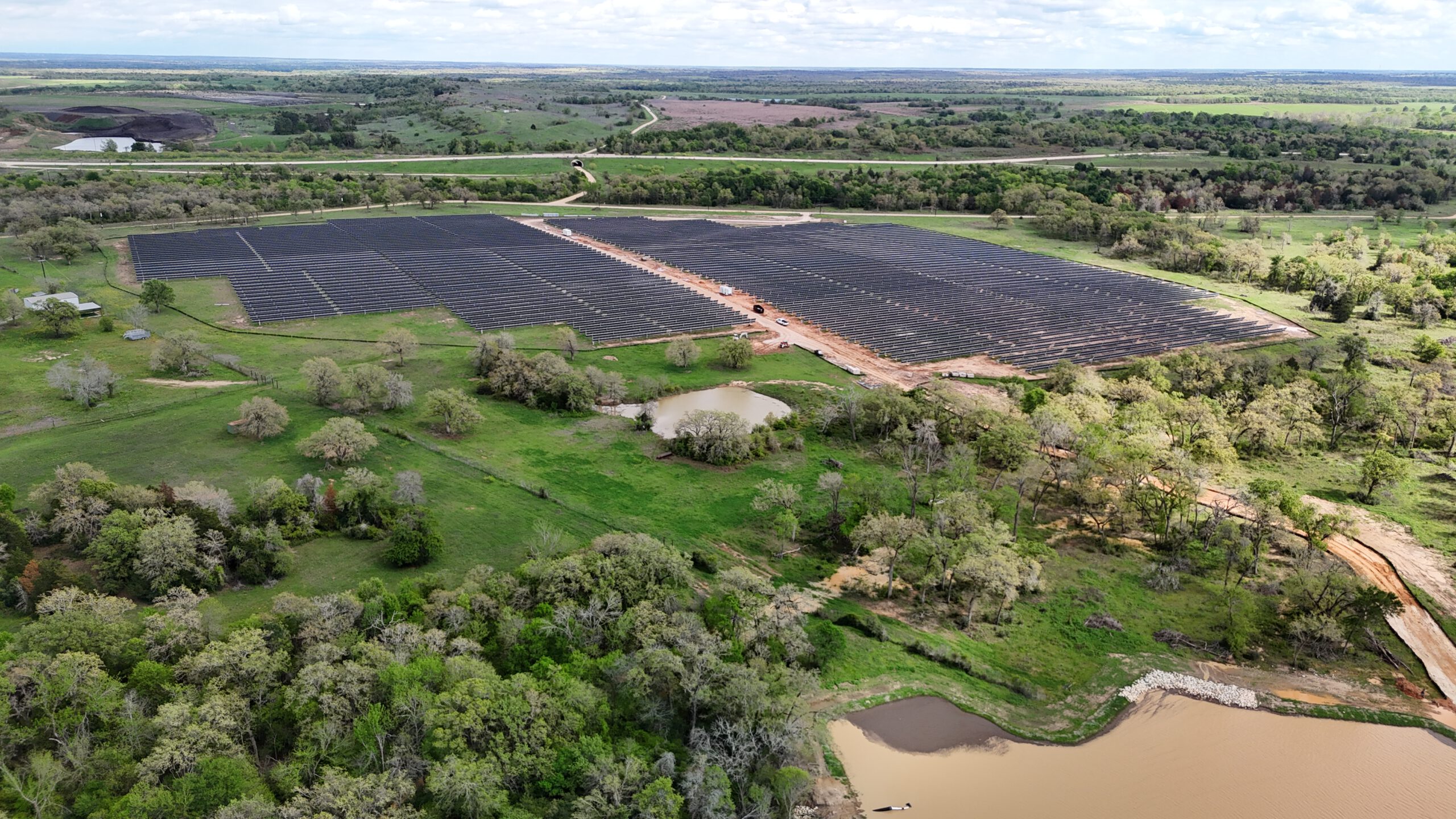 A tree-lined solar array